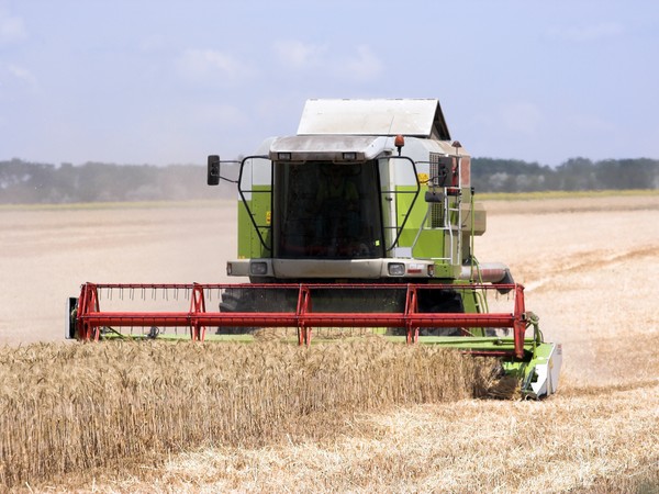 Аграрии Башкортостана намолотили 356 тыс. тонн зерна