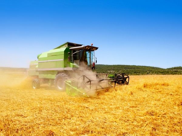 В Свердловской области урожайность зерновых выше прошлогодней