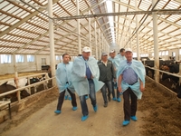 В Татарстане запустили новый объект молочного животноводства