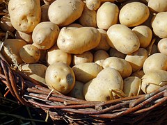 Самарская область собрала рекордный урожай картофеля