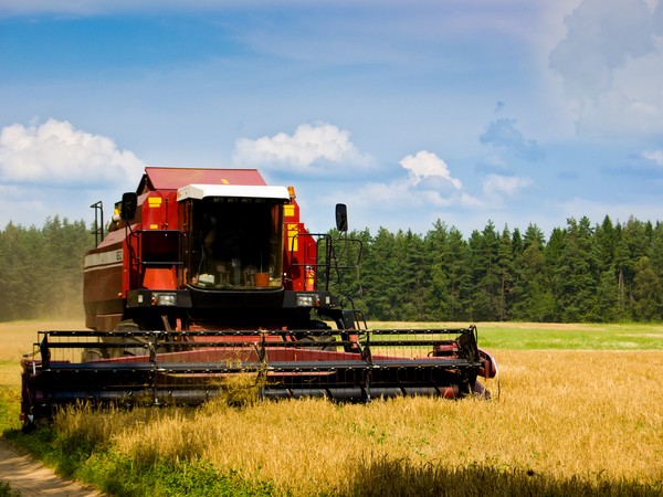 В Башкортостане собрано 3835 тыс. тонн зерна