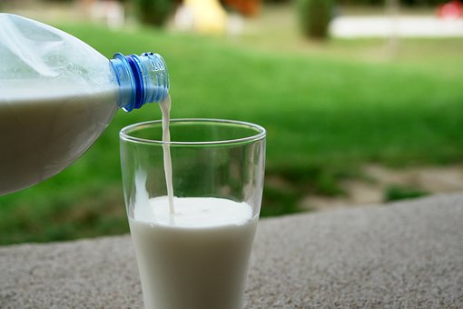 Башкортостан и Оренбуржье снизили производство молока
