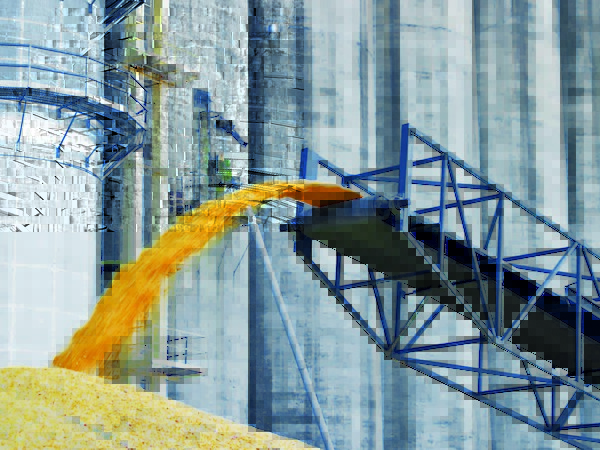 В Ростовской области в 2018 году запустят завод по глубокой переработке зерна